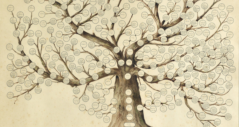 family_tree.jpg
