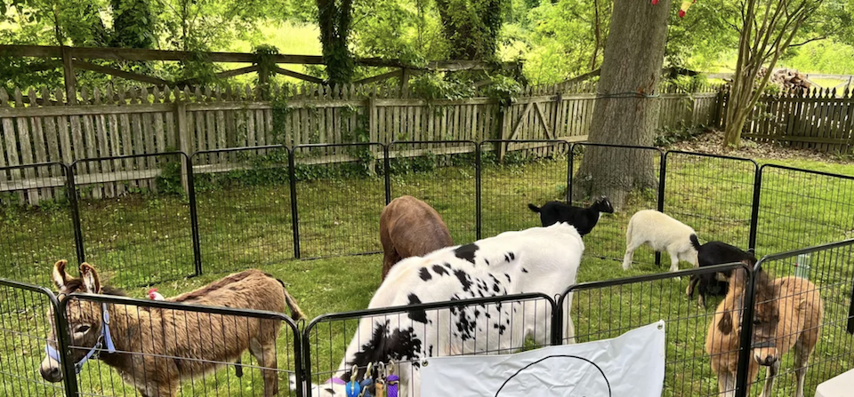 petting_zoo.png